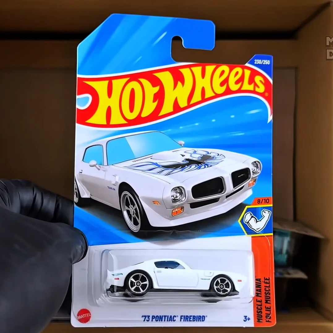 Car Care - Carro de Brinquedo Hot Wheels 1:64